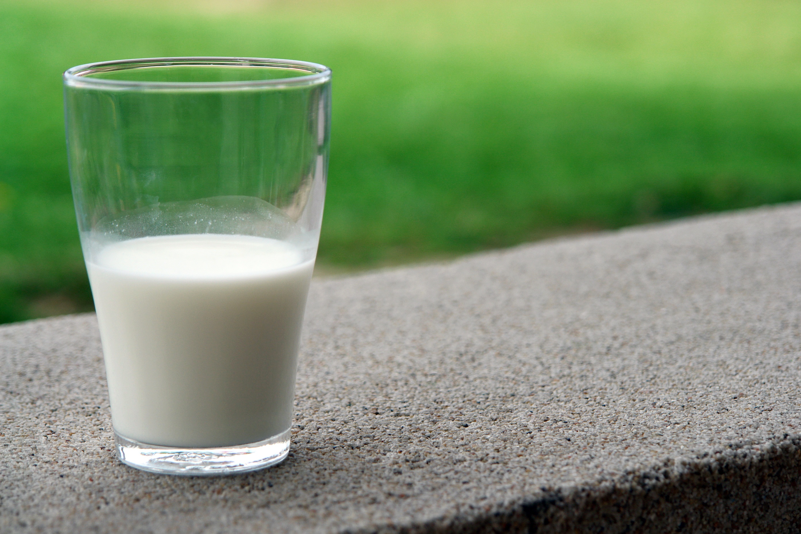Image result for milk